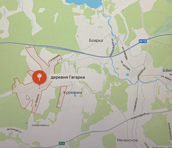 д Гагарка ул Клубная 24 фото