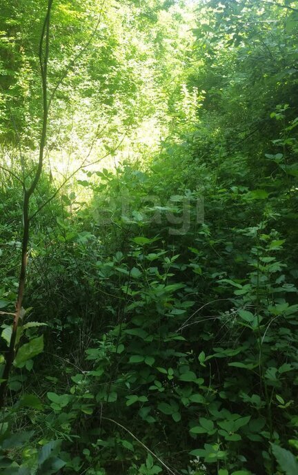 земля г Геленджик тер. ДНТ Океан фото 3