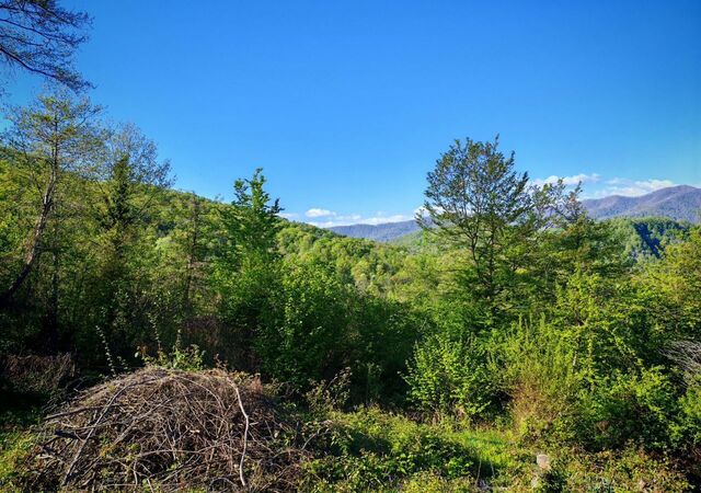 земля р-н Хостинский с Верховское Хостинский район фото