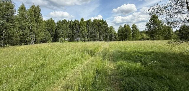 р-н Костромской д Спас-Бураки Кузнецовское сельское поселение фото