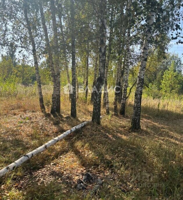 земля г Люберцы дп Красково снт Пехорка Красково, 22 фото 3