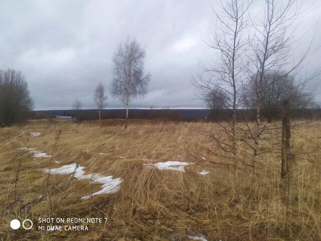 22, Богородское фото