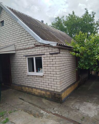 Рыздвяный фото