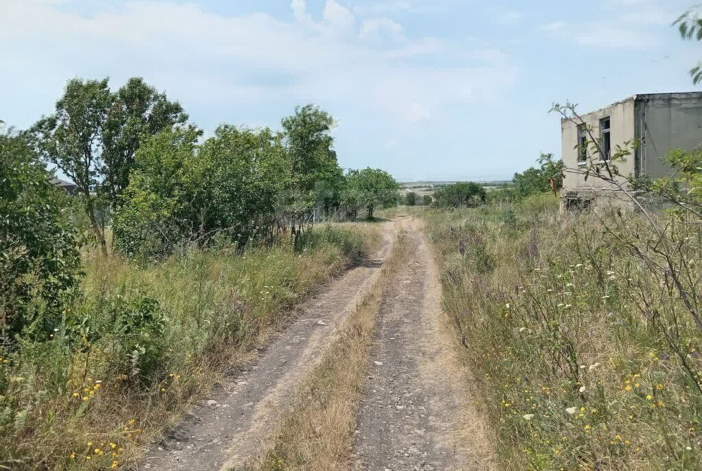 земля р-н Анапский г Анапа СОТ Ягодка, проезд В фото 4