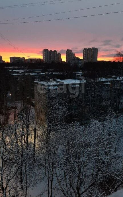 квартира г Балашиха ул Пионерская 1 Кучино фото 2