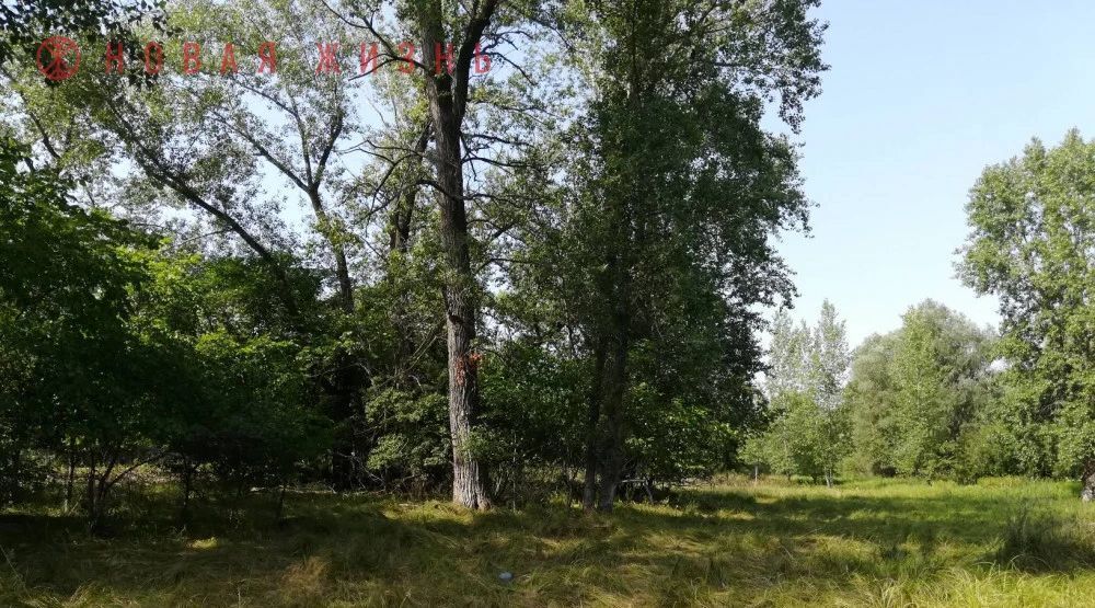 земля г Самара р-н Красноглинский снт Старая Жила СДТ фото 2