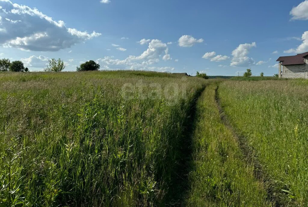 земля г Саранск с Напольная Тавла ул Заречная фото 4