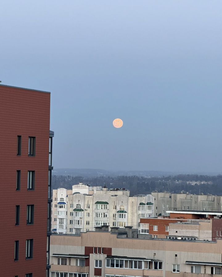 квартира г Калининград р-н Московский ул Батальная 100 фото 24