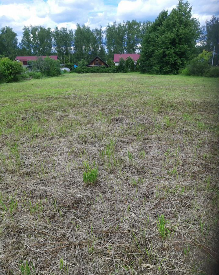 земля р-н Городецкий г Городец с. Смольки фото 1
