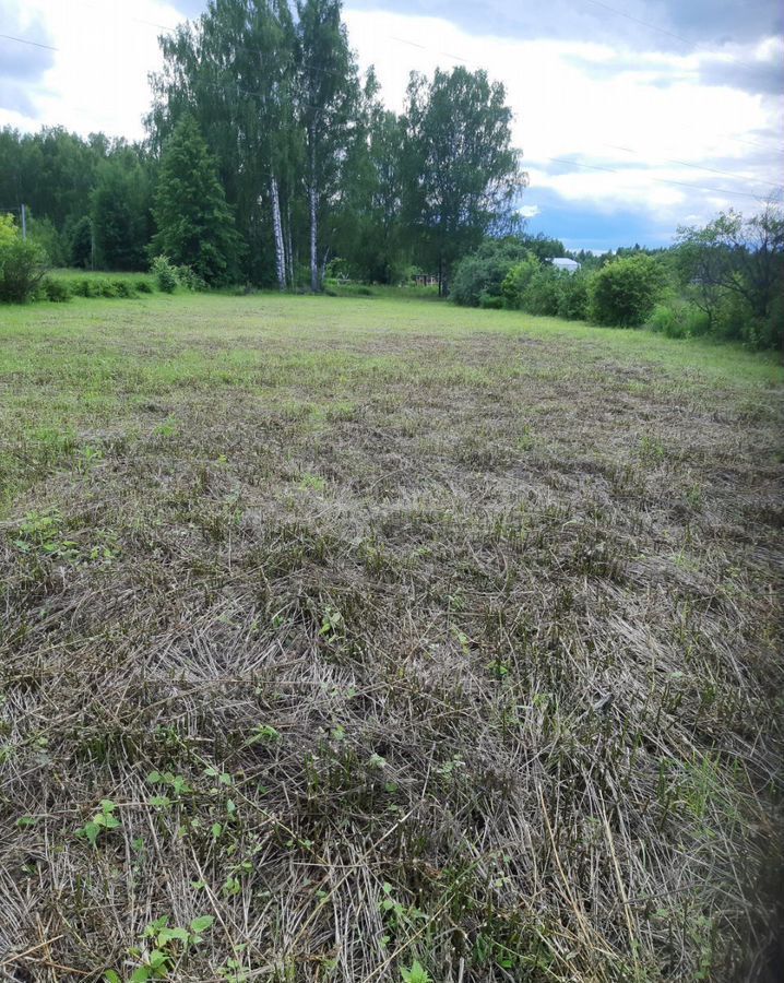 земля р-н Городецкий г Городец с. Смольки фото 3