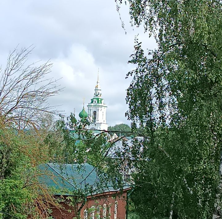 квартира г Кострома ул Щемиловка 9 фото 17
