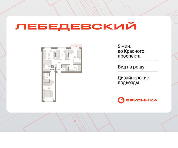 квартал № 5 Заельцовская ЖК «Лебедевский» фото