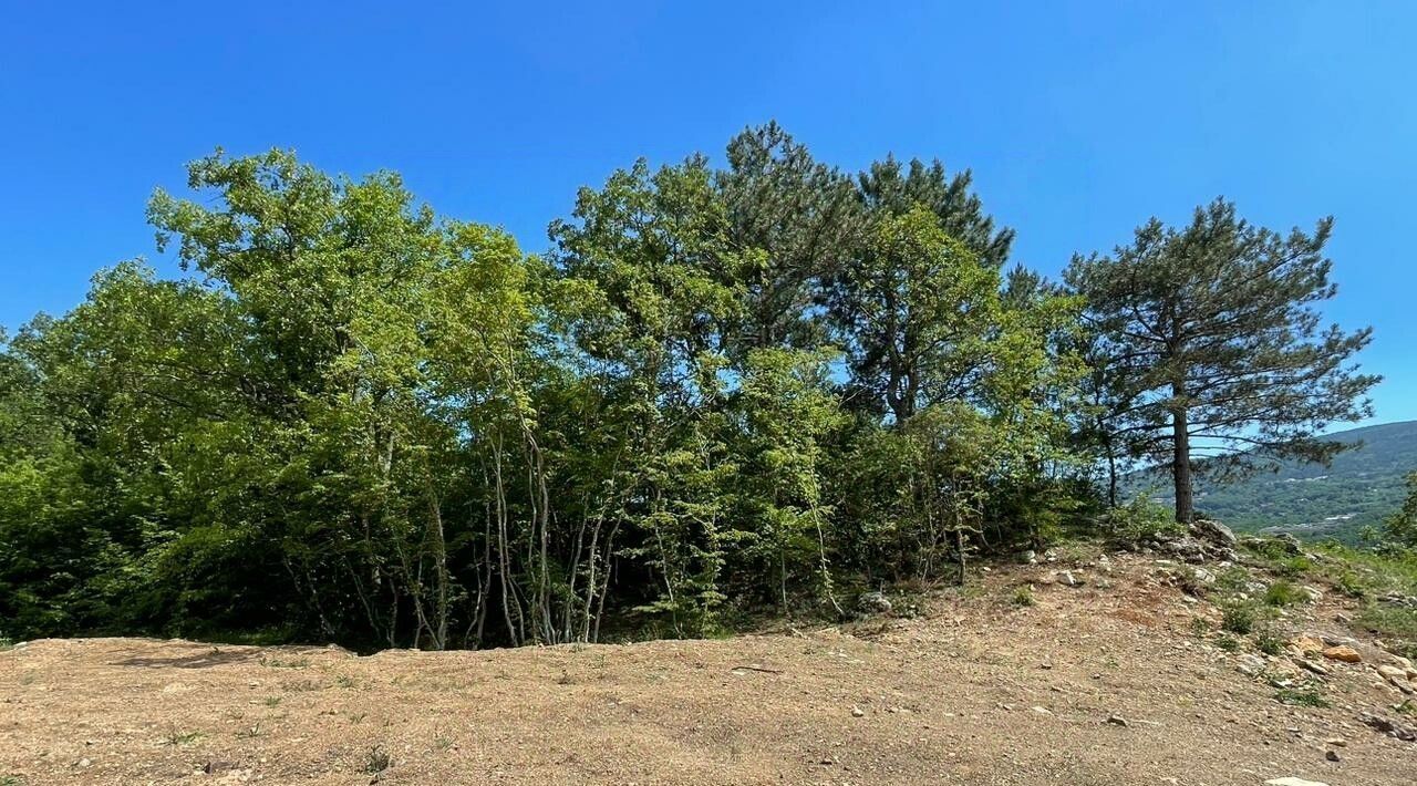 земля г Ялта ул Большевистская фото 4