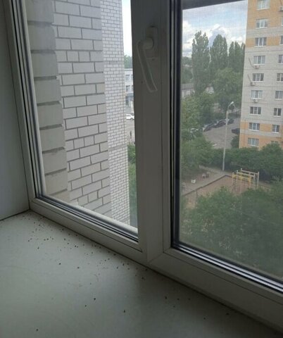 ул 45 стрелковой дивизии 247д фото