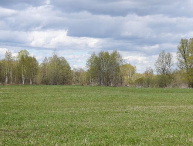 114 км, д. Вороново, Минское шоссе фото