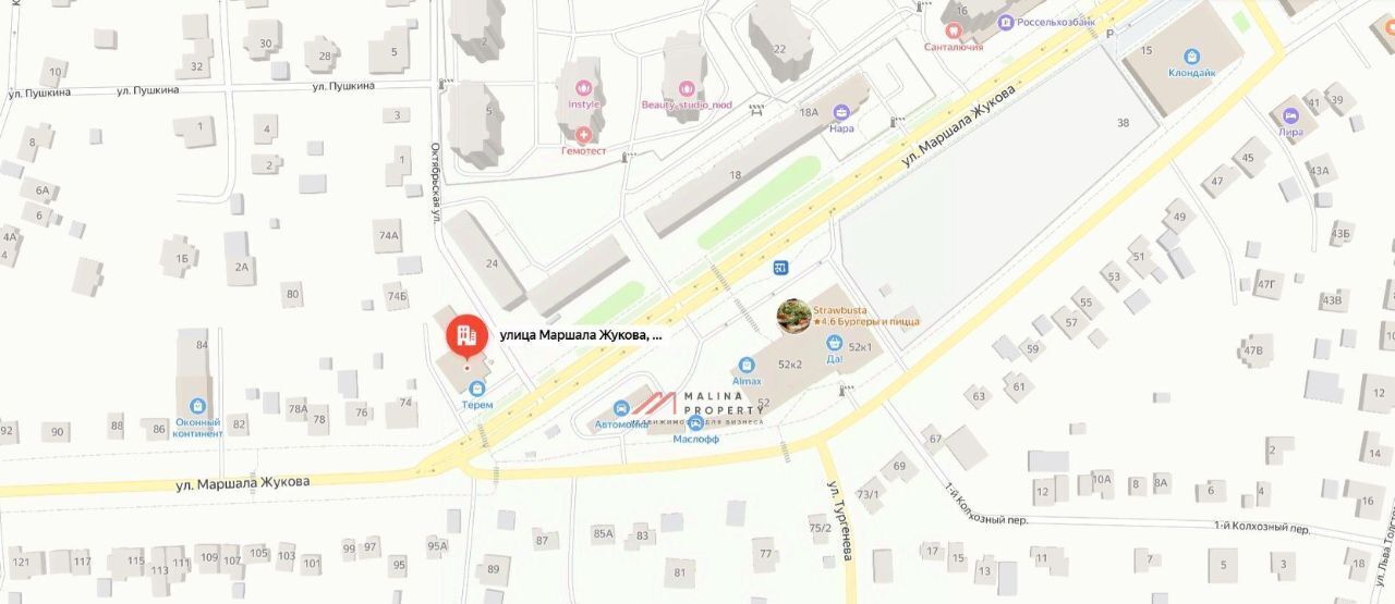 торговое помещение г Наро-Фоминск ул Маршала Жукова Г.К. 24а фото 4