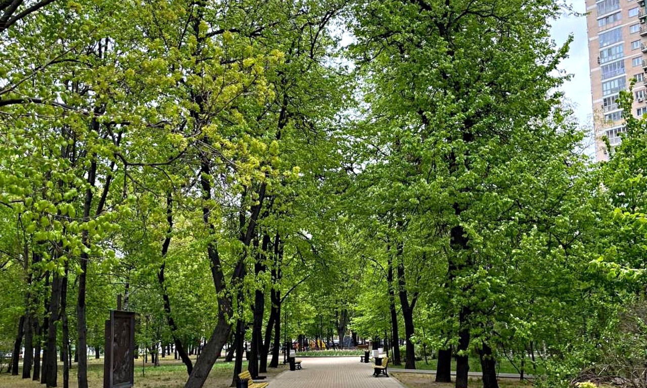 квартира г Москва метро Ростокино ул Малахитовая 27б муниципальный округ Ростокино фото 9