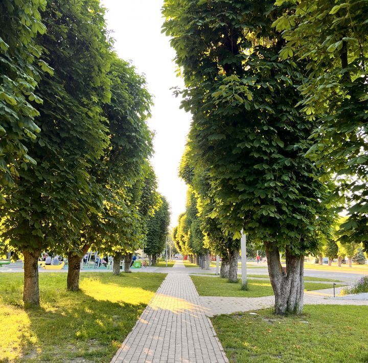 квартира г Светлый ул Гагарина 8к/2 фото 30