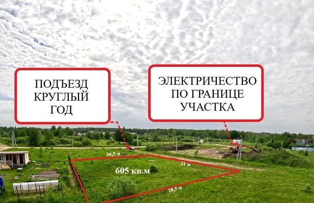 Эколуга ТСН фото