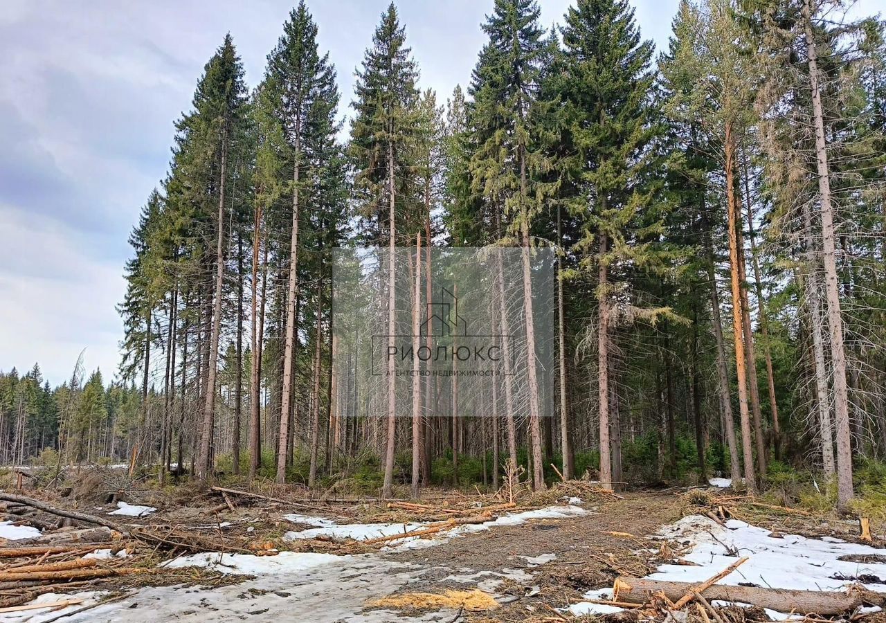 земля г Ревда фото 2