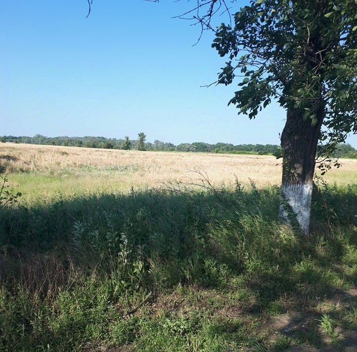 офис р-н Абинский г Абинск фото 2