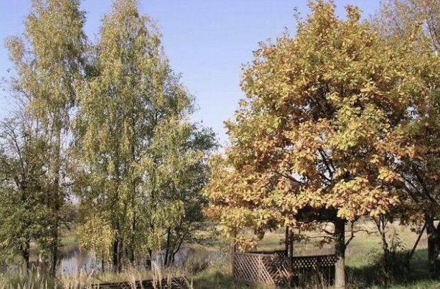 49 км, коттеджный пос. Усадьба в лесу, 5, д. Сидорово, Егорьевское шоссе фото