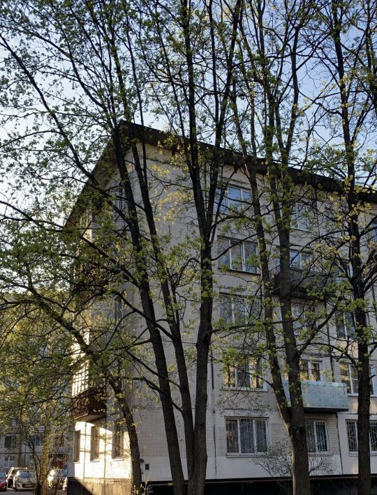 квартира г Санкт-Петербург метро Гражданский Проспект ул Тимуровская 18 фото 24