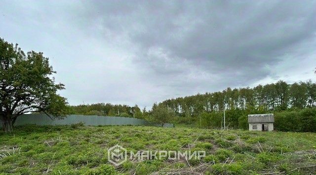 Мичуринское с/пос, СДТ, 158, Брянский район, Мичуринец фото