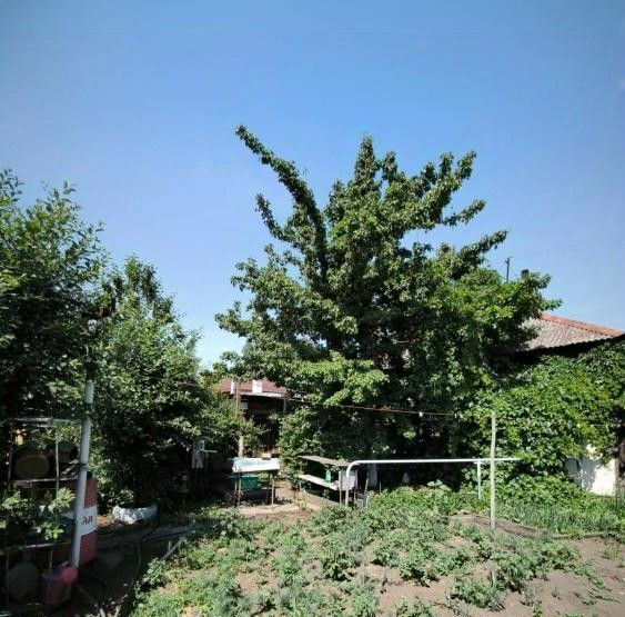 дом г Абакан ул Нахимова 15 фото 4