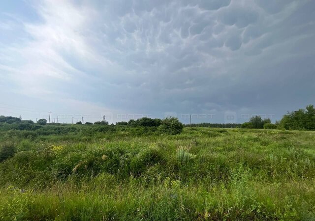Республика Татарстан Татарстан, Бишнинское сельское поселение, Казань фото