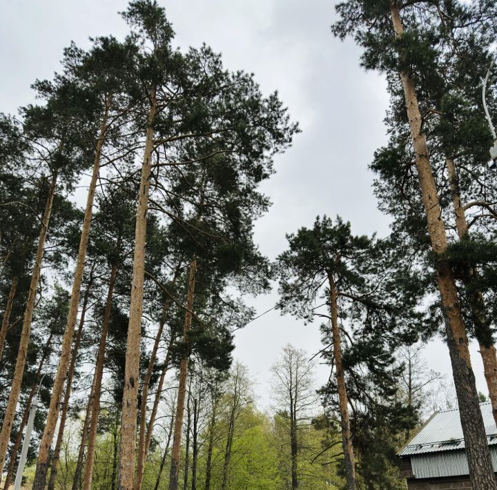 квартира г Раменское ул Коммунистическая 40/2 Есенинская фото 31