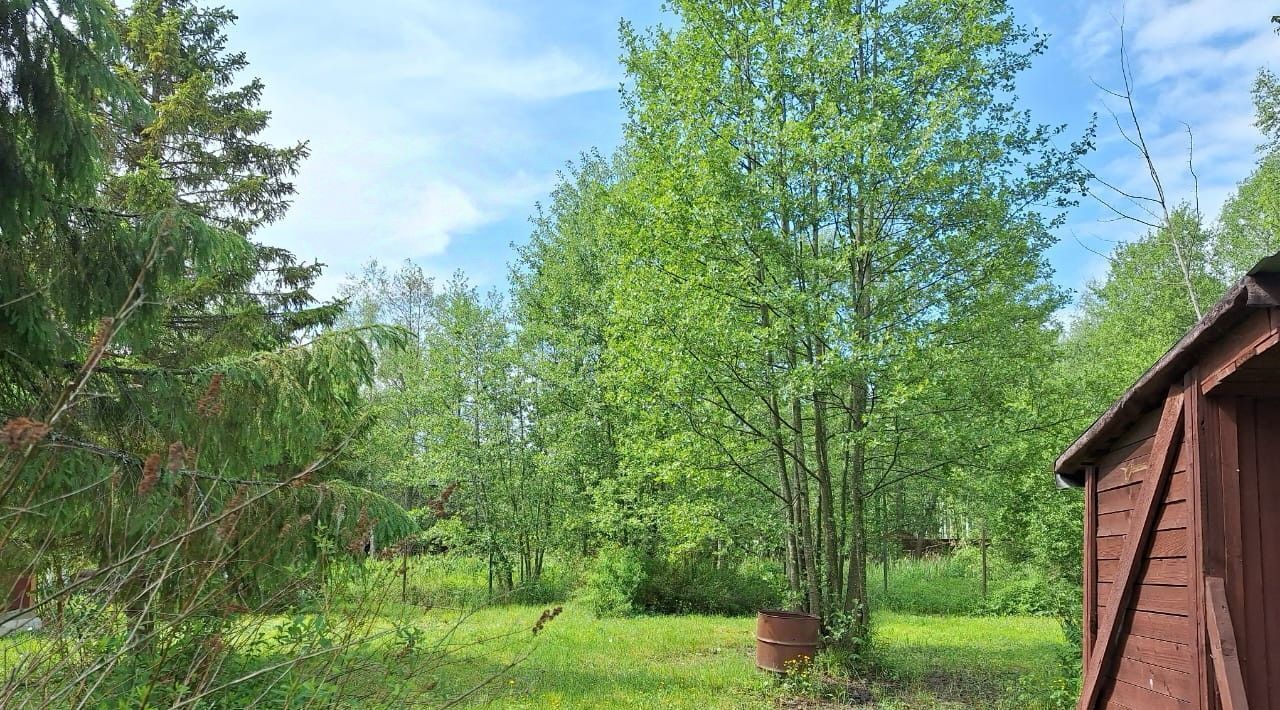 земля городской округ Талдомский г Талдом снт Ягодное фото 2