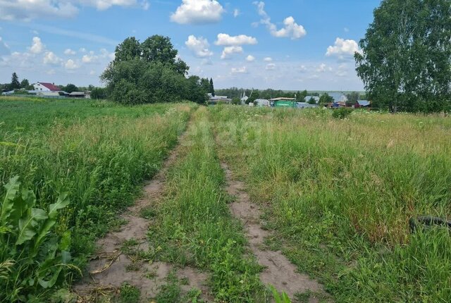 земля р-н Слободо-Туринский д Бурмакина ул Новая Усть-Ницинское сельское поселение фото