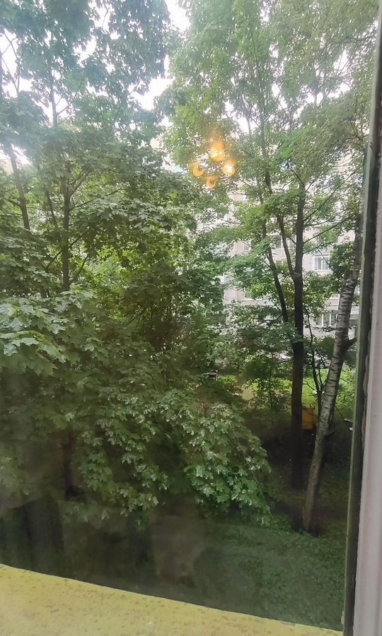 квартира г Санкт-Петербург метро Удельная пр-кт Костромской 31 округ Светлановское фото 22