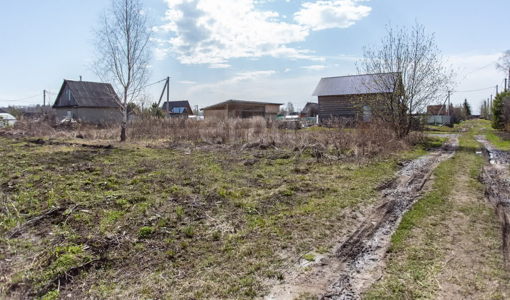 земля г Тобольск ул Западная садоводческое товарищество Родничок фото 12