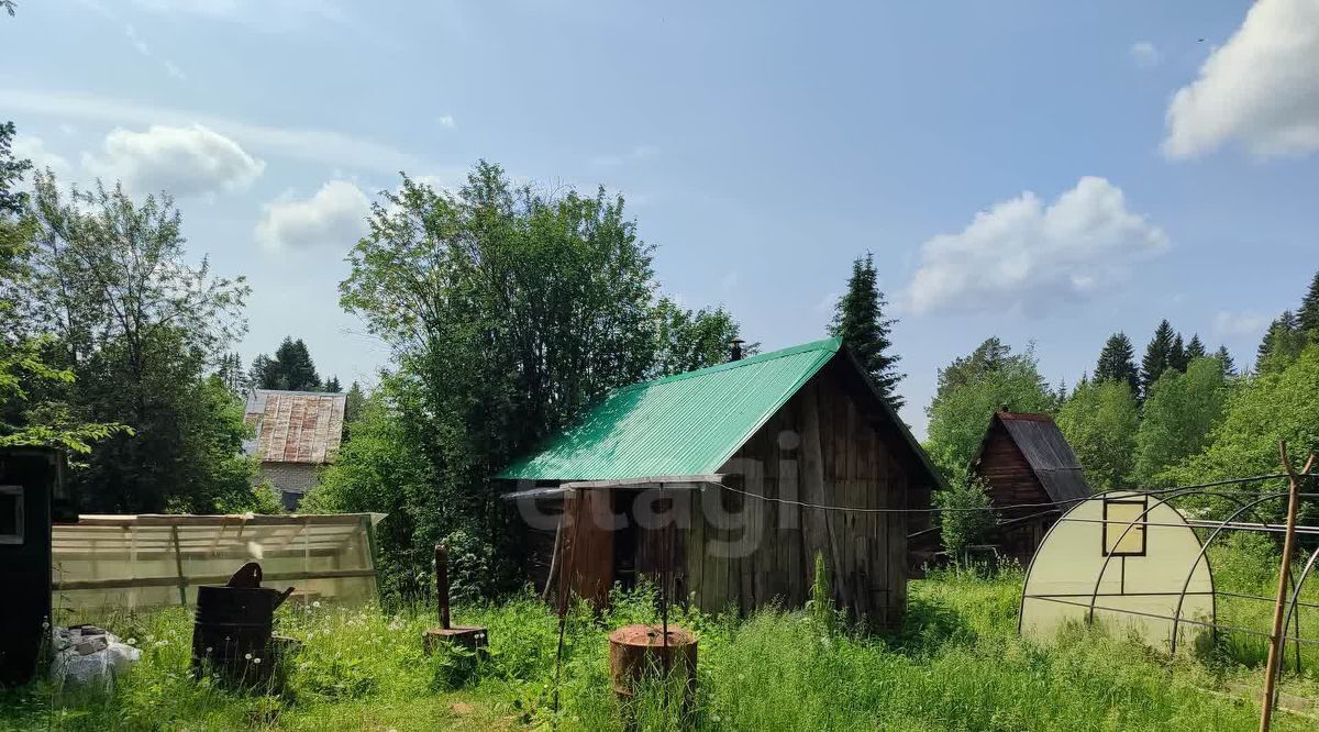 земля г Краснокамск снт Рябинушка фото 27