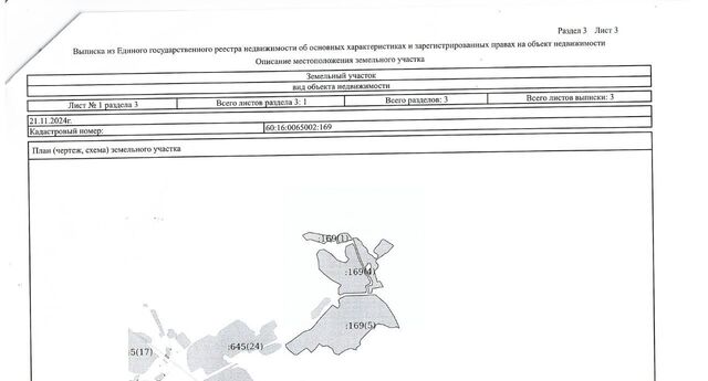 р-н Плюсский д Малое Голубско фото