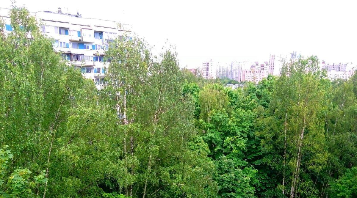 квартира г Санкт-Петербург метро Приморская ул Наличная 36к/7 фото 3