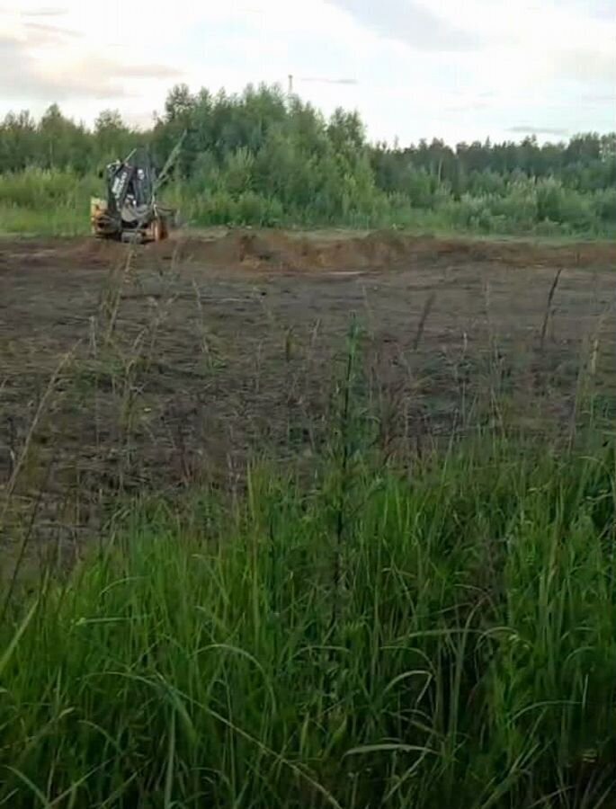 земля городской округ Богородский г Ногинск 48 км, массив Лесной Орешек-1, Горьковское шоссе фото 8
