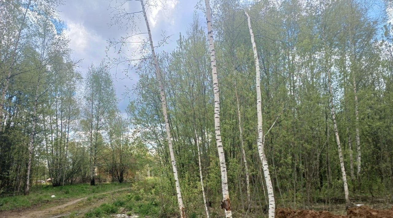 земля г Сергиев Посад ул Лейтенанта Алексеева фото 1