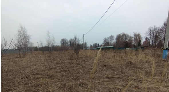 Коломна городской округ, с. Никульское фото