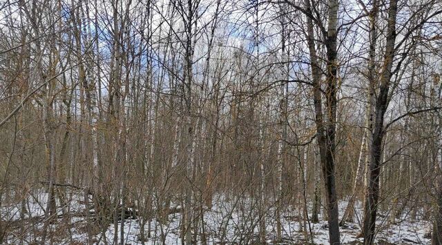 городской округ Чехов д Ваулово фото