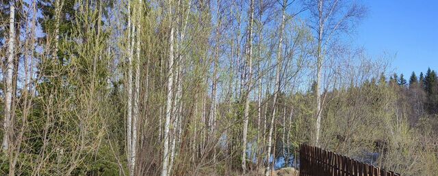 земля р-н Приморский снт тер.Ильма А, поле, Архангельск фото