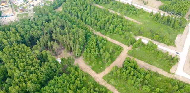 28 км, КП Литвиново вилладж, Фрязино, Фряновское шоссе фото