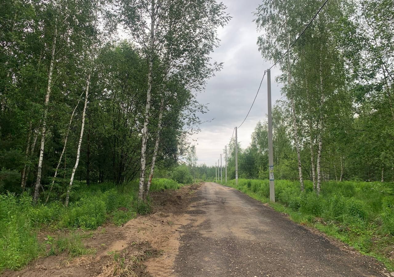 земля городской округ Пушкинский г Красноармейск снт Лесные Поляны-1 33 км, 49, Ярославское шоссе фото 10