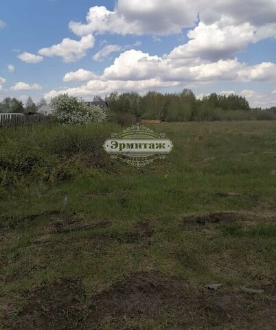 садовое товарищество Западное, Брусничная улица фото