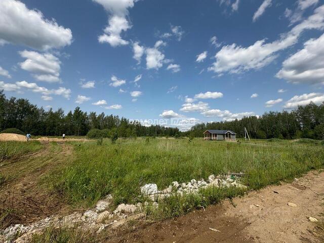 земля городской округ Богородский Новое Борилово кп фото