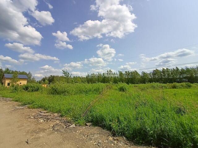 земля городской округ Богородский Новое Борилово кп фото