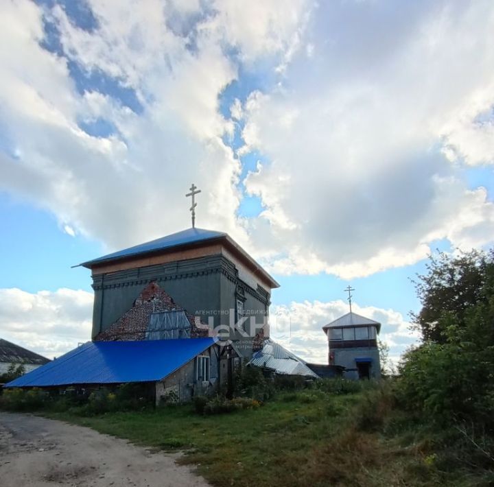 земля р-н Городецкий г Городец ул Панфилова 59 фото 17
