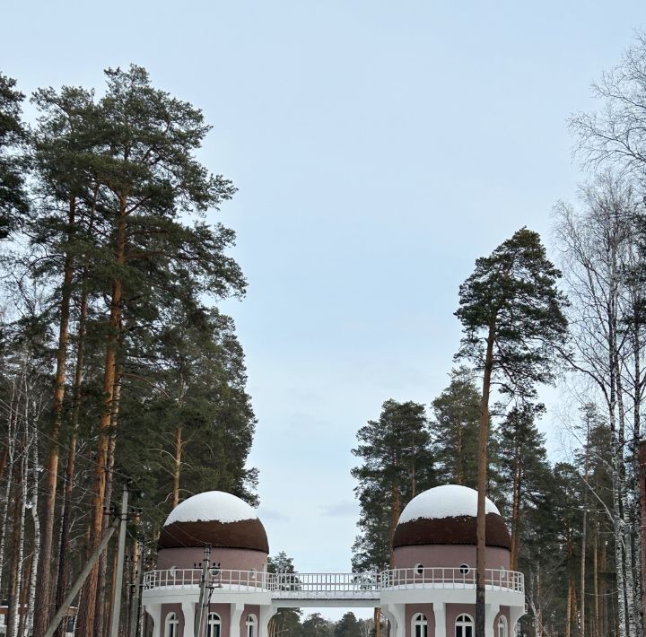 земля г Верхняя Пышма п Санаторный Лазурный берег кп фото 5